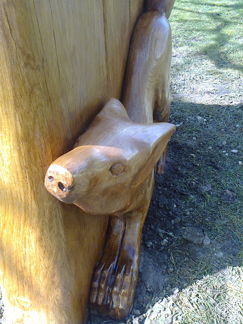 Fox detail