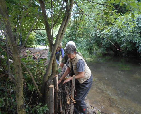 volunteers putting faggot bundles between stakes in River Stour