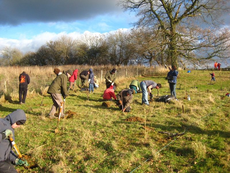 woodland planting on the downs (1) volunteers doing tree planting on the downs
