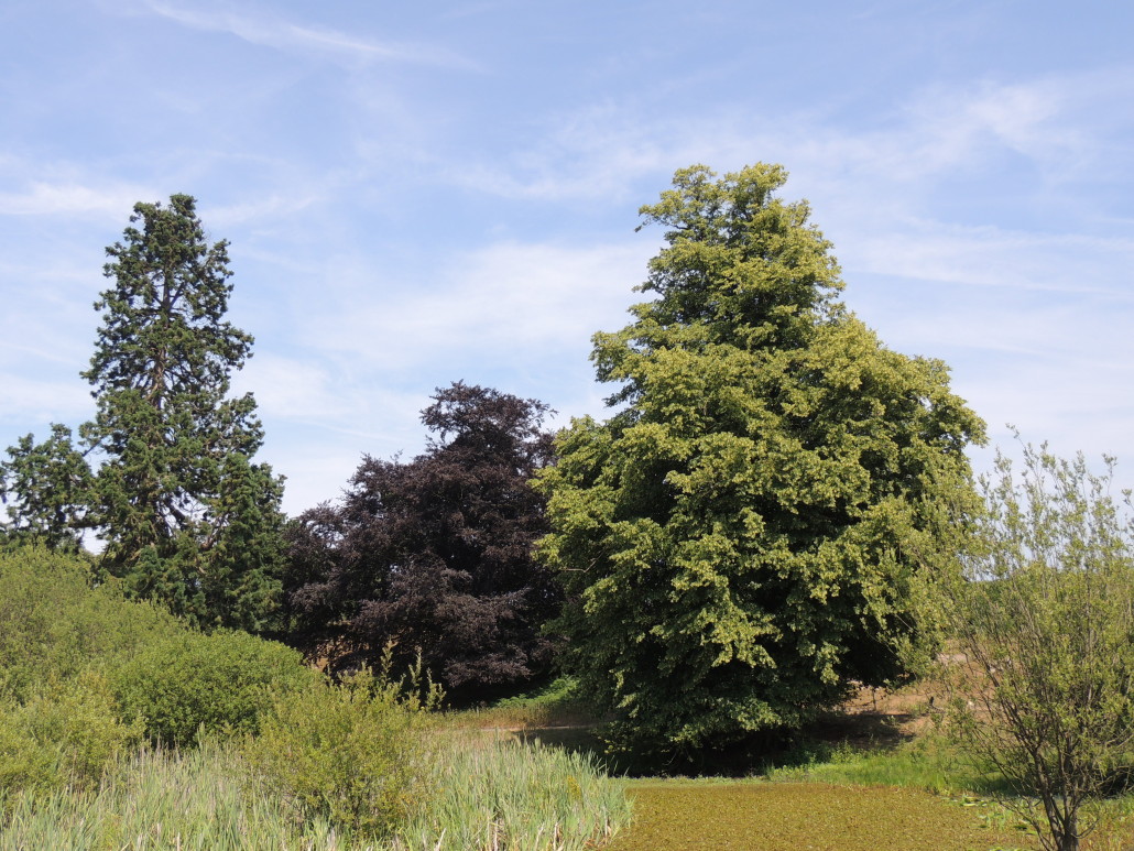 Chilston Park