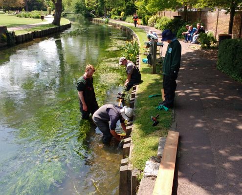 Planting boxes in river at Westgate