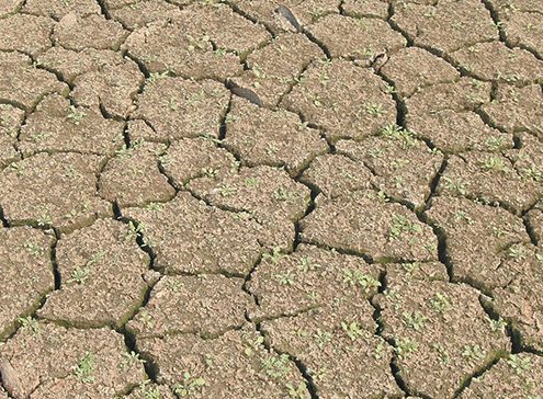 close up dried banks of Weir Reservoir 2005