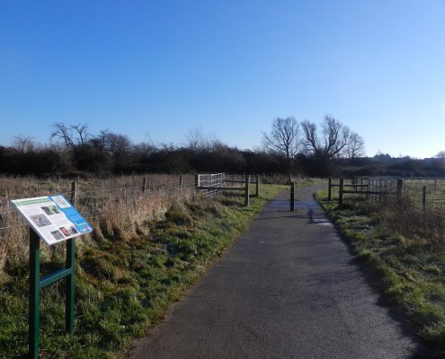 South Willesborough cycle path on bright cold winters day