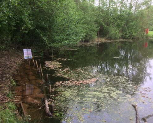Bank revetment work Little Burton