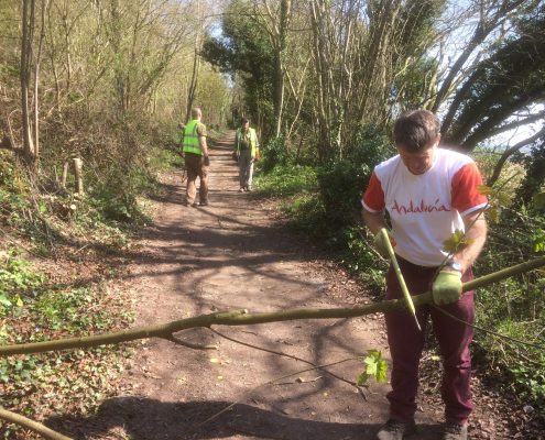 volunteer cutting overhanging tree on footpath