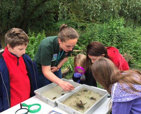 riverfly monitoring - ID work