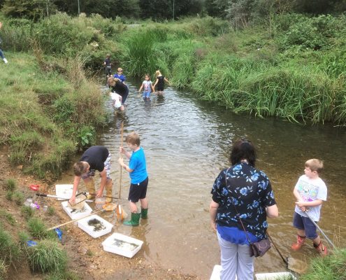 Our Stour AquaLab river dipping session