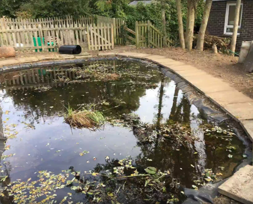 Smeeth School pond