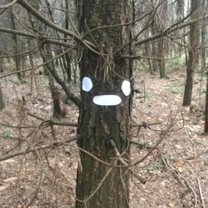 Gregg Stobbs - WWe Friendly tree Tree with shapes to create a face