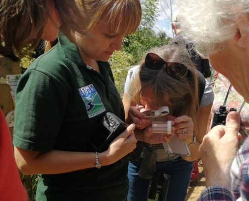 people examining small invertebrates with magnifier glassses.