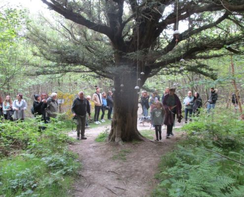 people looking at suspended artwork in woodland