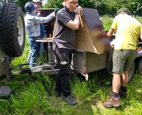 volunteers assembling barn owl boxes