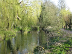 JS 005 river scene