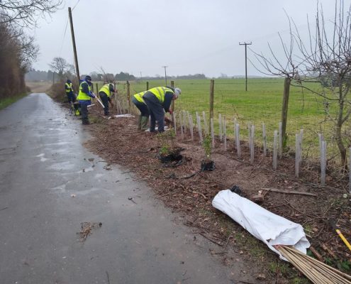 volunteers in hi-vis planting hedge