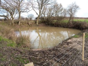 Bethersden pond restored Muddy pond