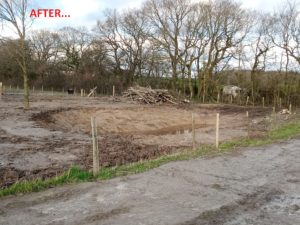 Pond after restoration